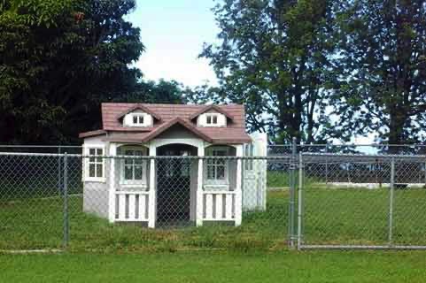 dog-playhouse
